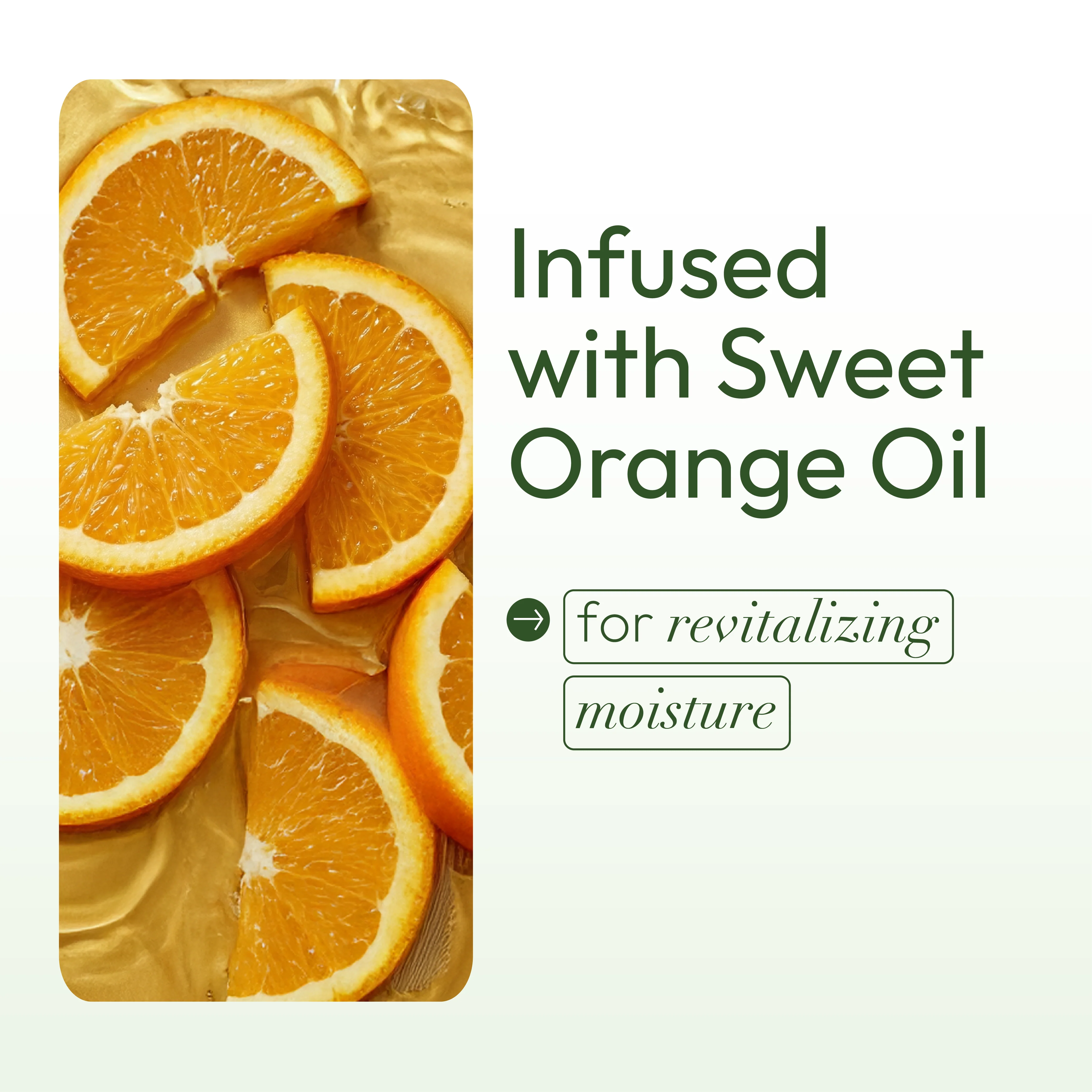 ORS Olive Oil HBCU Strengthen and Restore Replenishing Conditioner for Revitalizing Moisture (16.0 oz) - Image 9