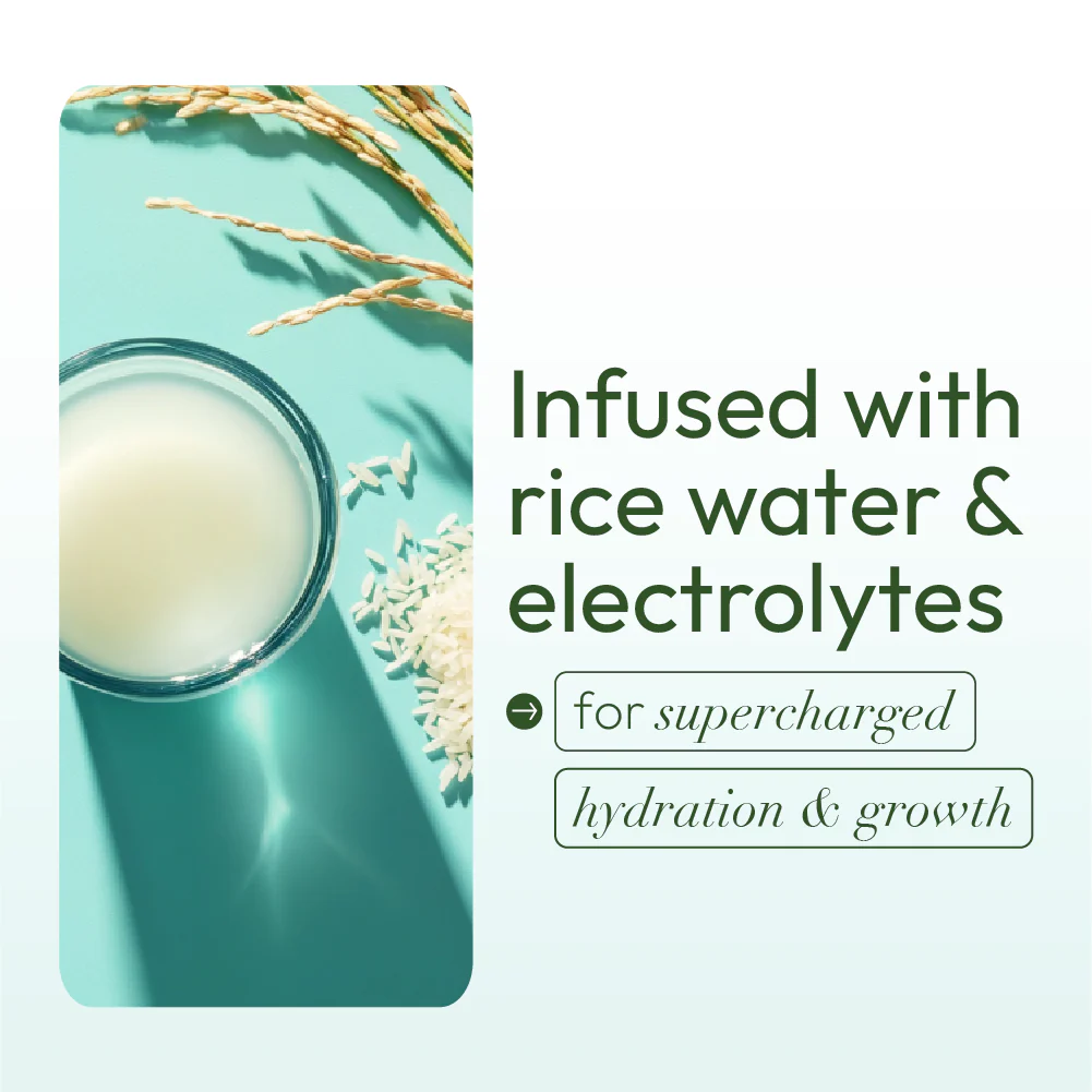 ORS Olive Oil Max Moisture Leave-In Conditioner (16.0 oz) - Image 6