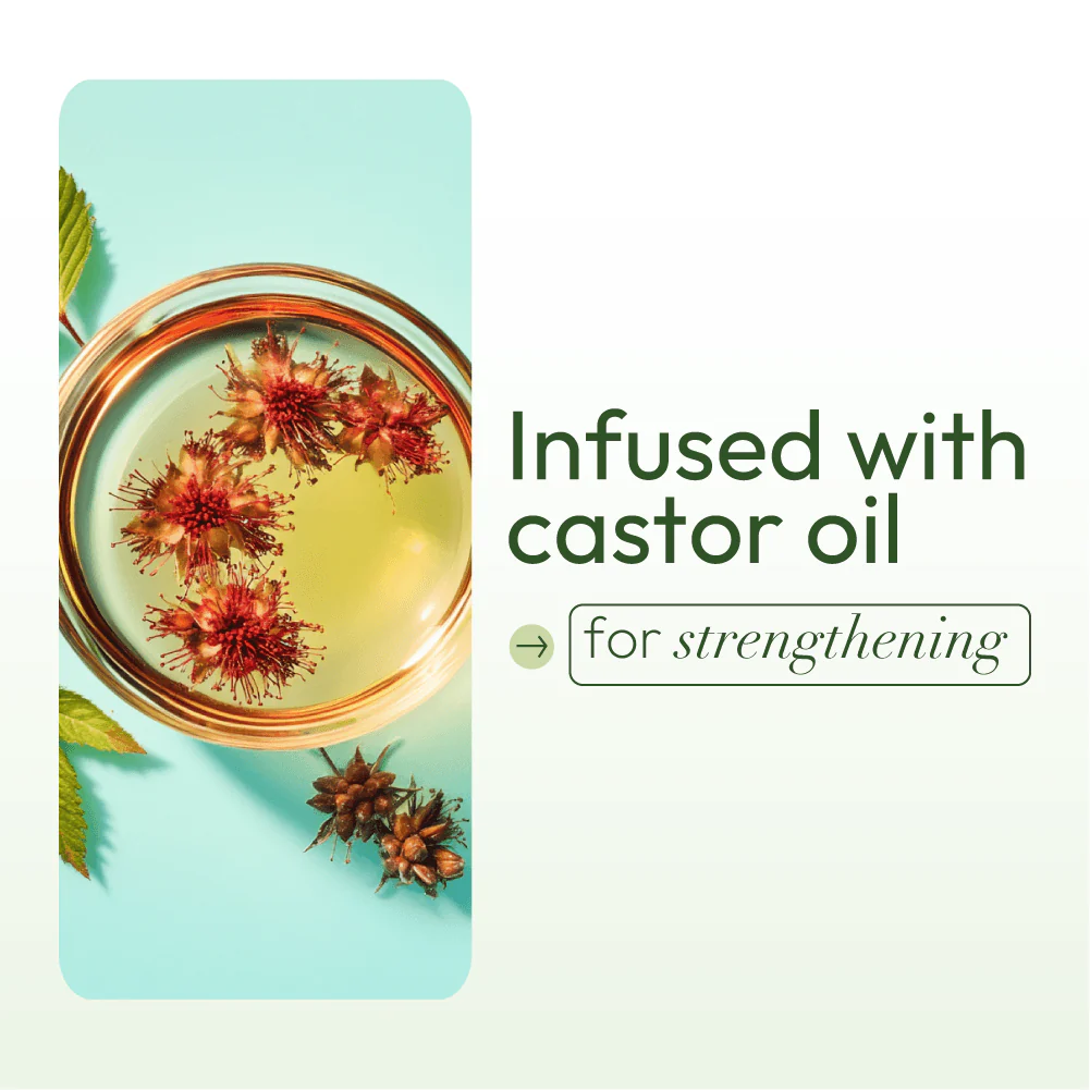 ORS Olive Oil Moisturizing Hair Lotion for Strengthening (8.5 oz) - Image 6